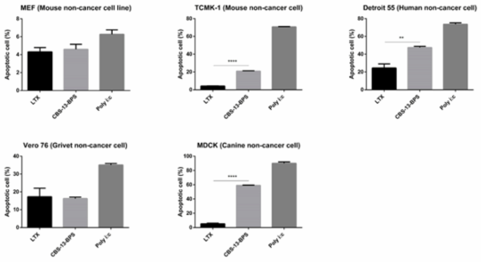 마우스 및 인간 비암세포주에서 CBS-13-BPS의 세포사멸 유도