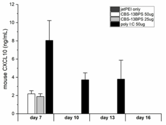 CBS-13-BPS 정맥투여에 따른 혈액내 CXCL10 증가