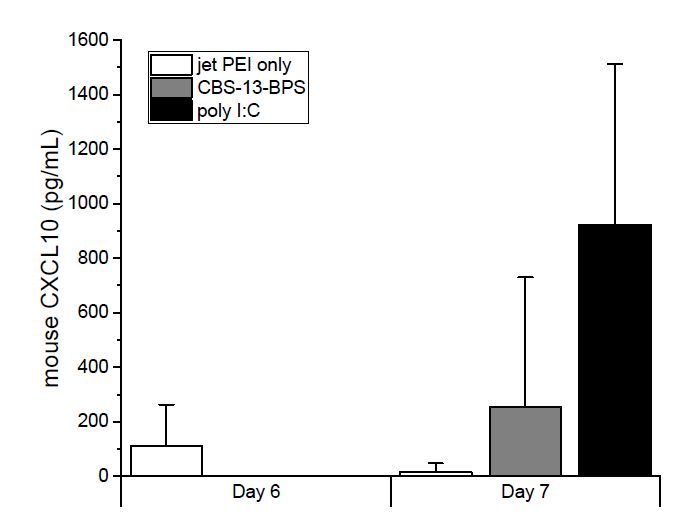 CBS-13-BPS 종양내 투여에 따른 혈액내 CXCL10 증가