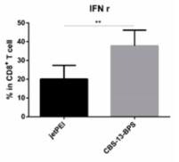 IFNγ를 생성하는 종양 침윤 CD8+ T 세포