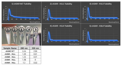 3A9 인간화 항체들의 turbidity 분석