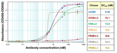 Sandwich ELISA법으로 확인한 인간화 항체들의 binding affinity