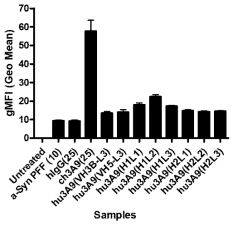 Chimeric 3A9 항체에 대비한 인간화 항체들의 phagocytic activity를 측정한 BV-2 uptake assay 결과