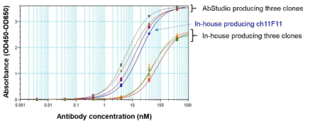Sandwich ELISA법으로 확인한 11F11 인간화 항체들의 binding affinity 분석. 293 세포에서 발현한 AbStudio 생산품과 CHO 세포에서 발현한 in-house 생산품 비교