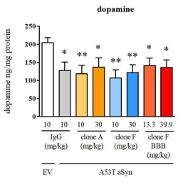 항체 투여에 의한 striatal dopamine 소실에 대한 영향 분석. *P<0.05, **P<0.01 cf AAV1/2 EV + IgG control, 1-way ANOVA and Fisher’s post-hoc test