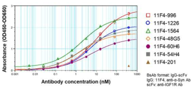 소내 확보 anti-IGF1R 항체들의 protein binding 분석. 모든 항체는 anti-α-Syn antibody가 IgG 형태로 anti-IGF1R antibody가 scFv 형태로 이루어진 이중항체로 생산하여 실험을 수행하였음