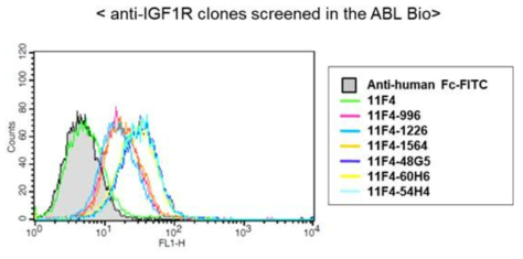 Anti-IGF1R 항체들의 cell binding 정도를 분석한 FACS 분석 결과