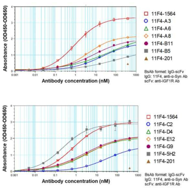 K-BIO에서 screening한 anti-IGF1R 항체들의 protein binding 분석. 모든 항체는 anti-α-Syn antibody가 IgG 형태로 anti-IGF1R antibody가 scFv 형태로 이루어진 이중항체로 생산하여 실험을 수행하였음