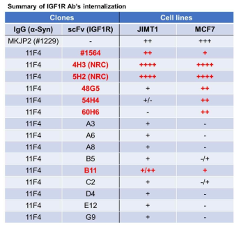 항-IGF1R 후보항체 및 back up 클론들의 IGF1R-mediated internalization 요약
