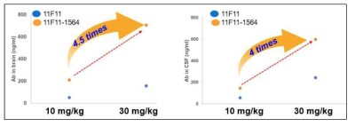 Dose 의 변화에 따른 이중특이항체와 단독항체의 통과량 변화 정도. 이중특이항체는 30 mg/kg 투여 시 10 mg/kg 대비 뇌 통과량이 약 4.5 배 증가하며 (왼쪽), CSF로의 통과량은 약 4 배 증가함 (오른쪽). 점선으로 이어진 이중특이항체 군의 기울기 (주황색 점)는 단독항체 군의 기울기보다 더 가파르며, 이는 dose가 증가할수록 이중특이항체와 단독항체 간의 BBB 통과량 차이가 벌어지는 것을 의미함