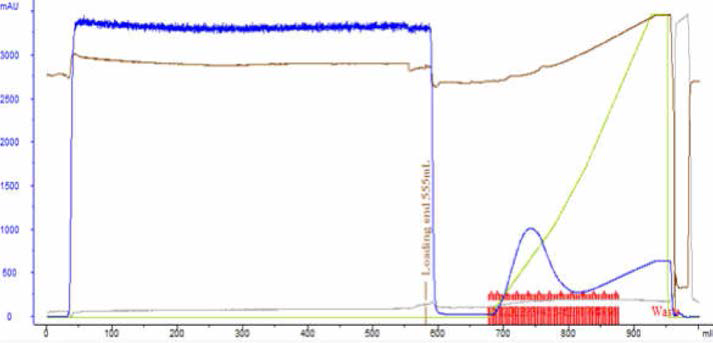 Mabselect Sure Chromatogram