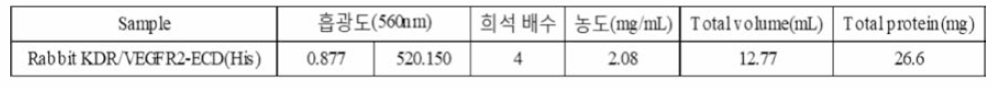 농축 후 단백질 농도 측정 (BCA method with BGG as a protein standard)