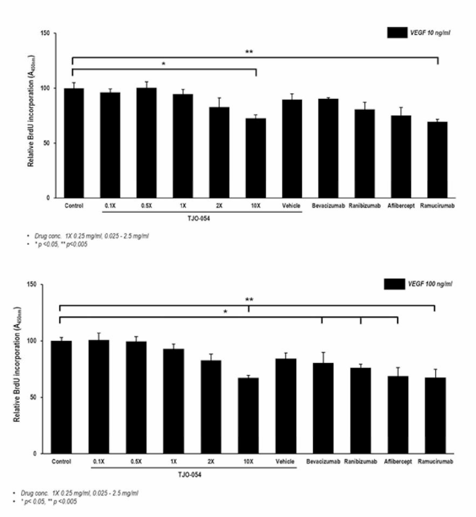 VEGF-A 처리 조건 내 농도별 약물 투여에 따른 HRMEC proliferation 억제 정도 분석