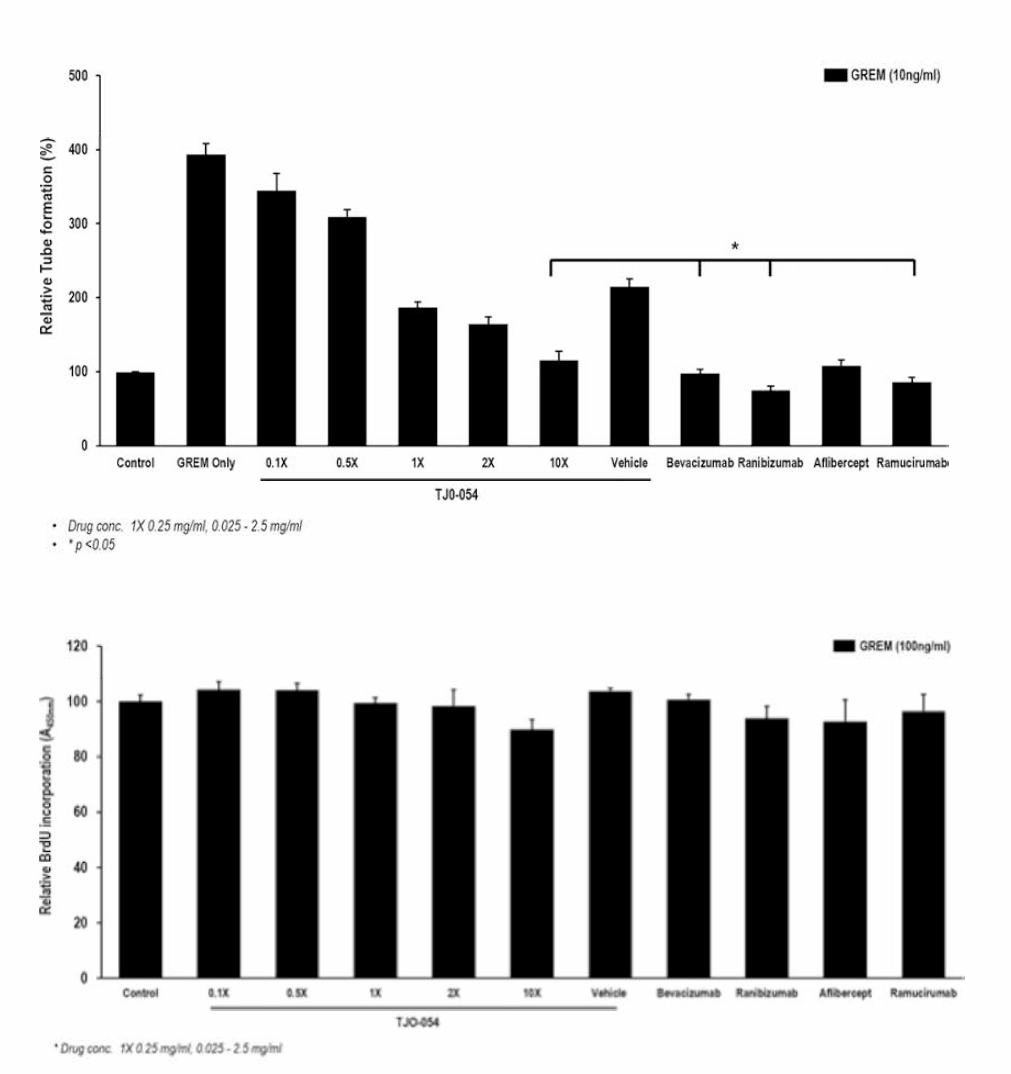GREM-1 처리 조건 내 농도별 약물 투여에 따른 HRMEC proliferation 억제 정도 분석