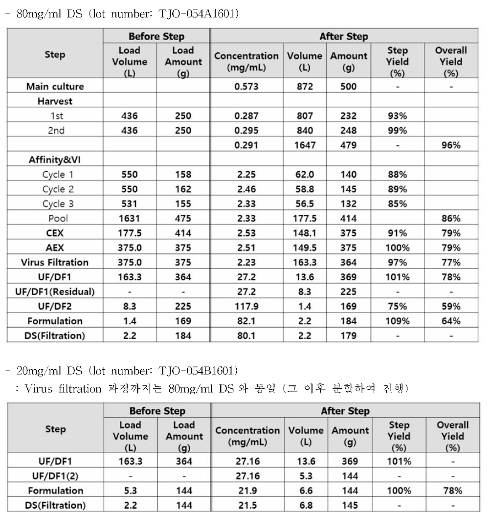 GMP batch의 단계별 수율