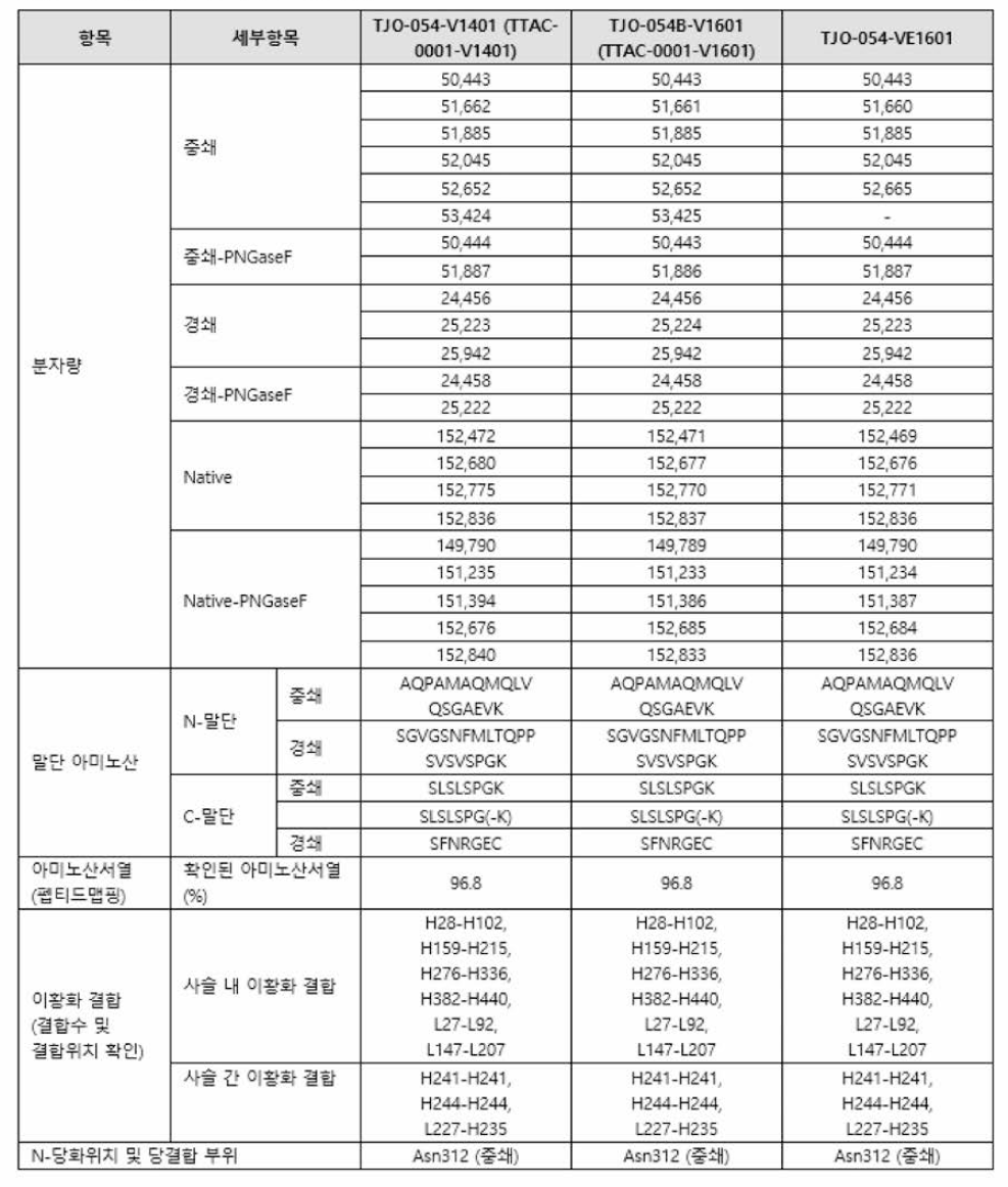 비교동등성 분석자료 요약표