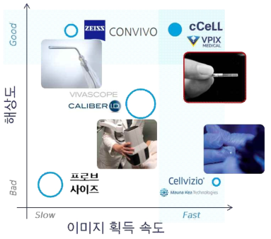 국내외 기술 개발 현황 비교