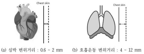 심박 및 호흡운동으로 발생되는 흉강 변위 거리