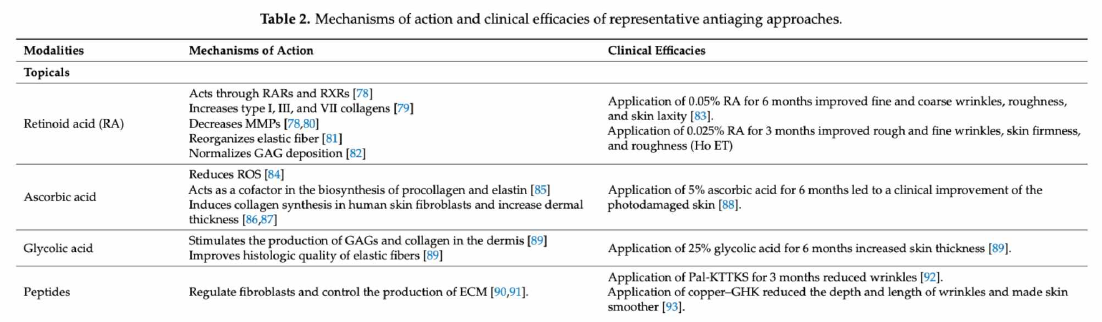 주름 개선 소재의 작용 기전과 임상적 효능 [Int J Mol Sic (2019) 20; 2126]