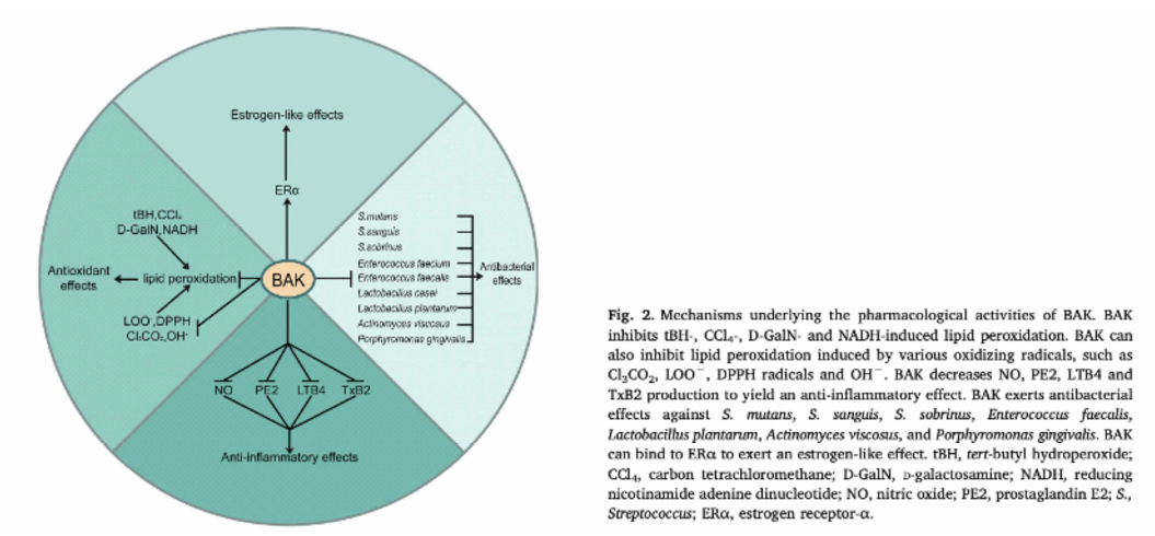 Bakuchiol의 세포 내 작용 기전 [PharmacoloRical Research (2019) 141； 208-213]