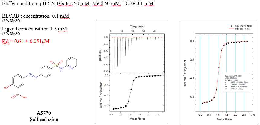 Isothermal titration calorimetry (ITC) 실험을 통해 최종 선별된 후보약물 (A5770)과 BLVRB 상호작용 binding constant (Kd) 측정