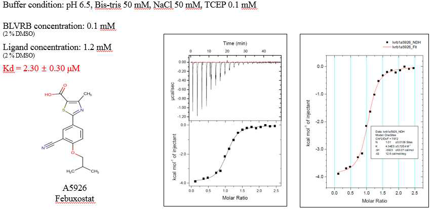 Isothermal titration calorimetry (ITC) 실험을 통해 최종 선별된 후보약물 (A5926)과 BLVRB 상호작용 binding constant (Kd) 측정