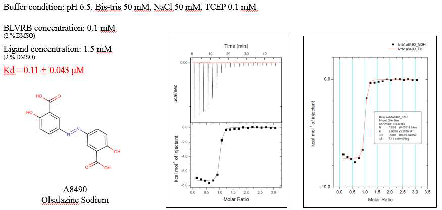 Isothermal titration calorimetry (ITC) 실험을 통해 최종 선별된 후보약물 (A8490)과 BLVRB 상호작용 binding constant (Kd) 측정
