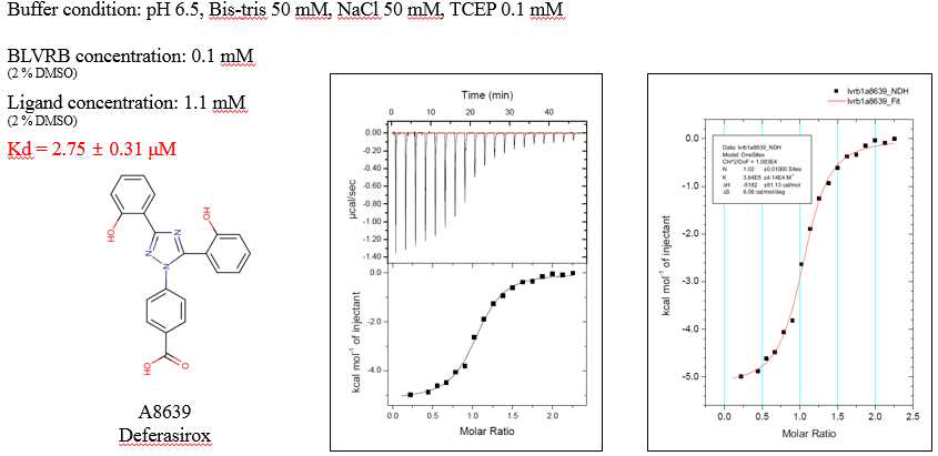 Isothermal titration calorimetry (ITC) 실험을 통해 최종 선별된 후보약물 (A8639)과 BLVRB 상호작용 binding constant (Kd) 측정