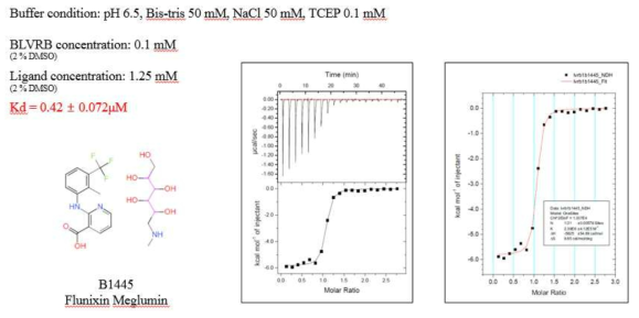 Isothermal titration calorimetry (ITC) 실험을 통해 최종 선별된 후보약물 (B1445)과 BLVRB 상호작용 binding constant (Kd) 측정
