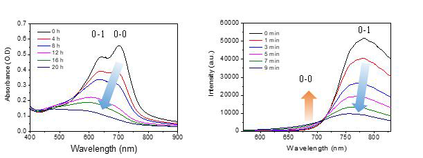 공액고분자 PTB7-Th 필름의 온도 변화에 따른 자외선-가시광선 흡수 스펙트럼 변화 측정 결과(좌)와 형광 스펙트럼 변화 측정 결과(우)