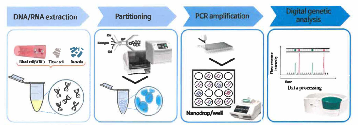 디지털 PCR work flow