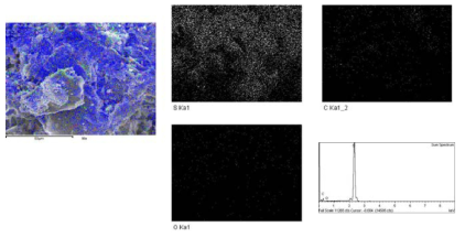GL-I-800-sulfur composite의 SEM mapping image