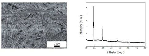 Mn1/3Fe2/3C2O4∙2H2O nanowire의 SEM 이미지 및 XRD 패턴