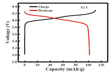 LMO Pouch half cell 용량 특성 변화 (0.1 C)