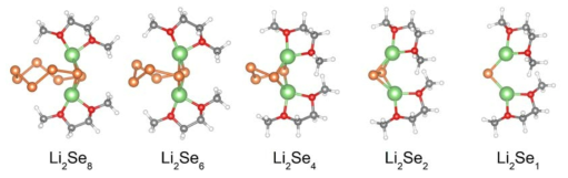 리튬-폴리셀레나이드 분자와 DME 분자의 결합 구조