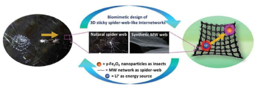 탄소나노튜브의 생체 모방된 거미줄 형태 모식도