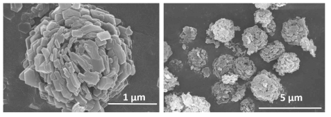 MCA crystal의 SEM image : 2 ~ 3 μm의 spherical particle 형성, 육각형 형태의 결정으로 구성