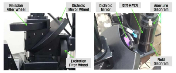 조명광학계와 Excitation/Dichroic/Emission Filter Wheel