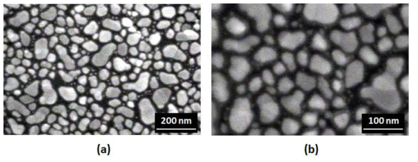 제작한 FE-SEM 의 gold nano-particle 이미지 획득; (a) 10 k 이미지, (b) 20 k 이미지