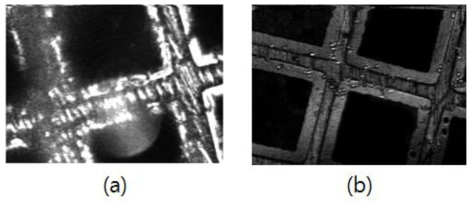 공초점현미경의 형광 이미지 실험, (a) 광축이 잘 맞지 않을 경우, (b) 광축이 잘 맞을 경우