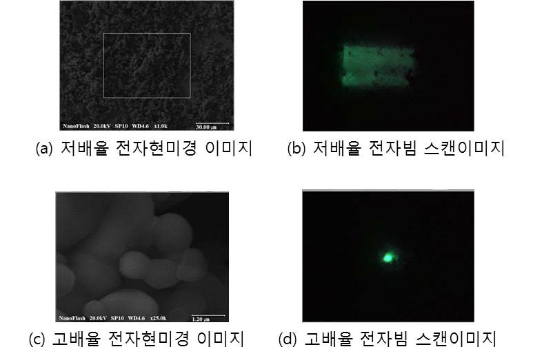 cathodoluminescence 와 전자현미경 이미지