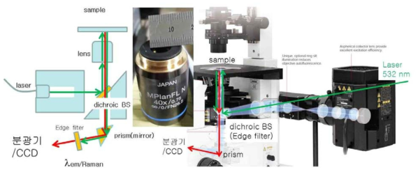 라만현미경 시스템 개요도(좌) 및 올림푸스 현미경의 레이저 및 라만신호 빔경로(우)