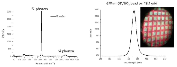 실리콘웨이퍼의 라만신호(좌) 및 630 nm 형광양자점의 형광스펙트럼(우)
