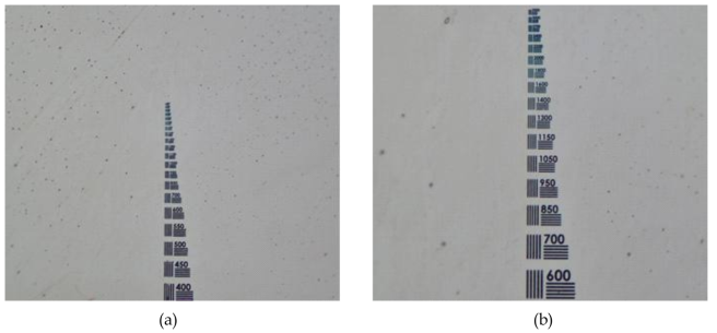 에드먼드 시편 올림푸스 광시야 광학 현미경 이미지, (a) 20배 대물렌즈, (b) 50 배 대물렌즈