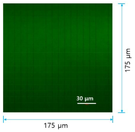 50배 대물렌즈를 이용한 개발 공초점 현미경 FOV 측정