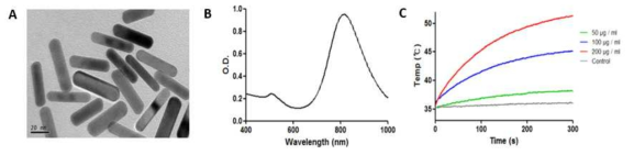 (A) 금나노입자의 투과전자현미경 사진, (B) 근적외선 영역대에서의 흡광도 그래프, (C) 금나노입자의 농도별 광열효과 (레이저 파장: 808nm, 레이저 세기: 2.037W/cm2)