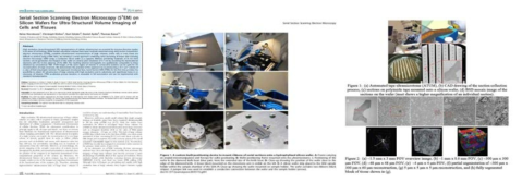 Automated Tape Collection Ultramicroscopy를 이용한 SEM 이미징 예시 및 관련 논문