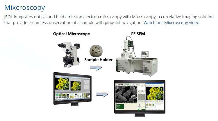 JEOL에서 개발한 LM-SEM을 접목시킨 Correlative microscopy system