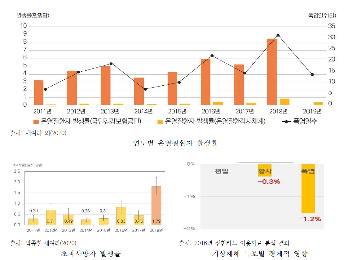 폭염으로 인한 건강 피해와 경제적 영향