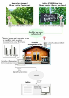 포도 과원 환경 모니터링 시스템 개념도 (일본, Fujitsu)